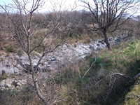 cantara piccole gole19022012 088